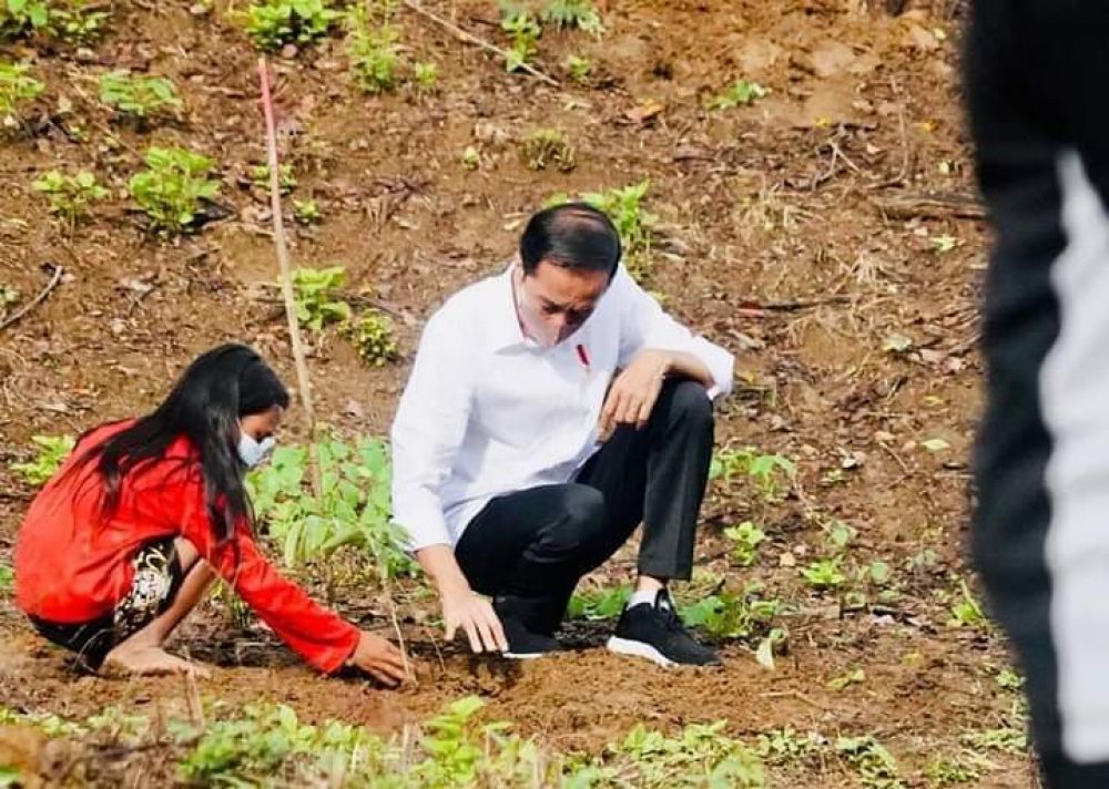 Momen Jokowi Tanam Pohon Bersama Masyarakat NTB