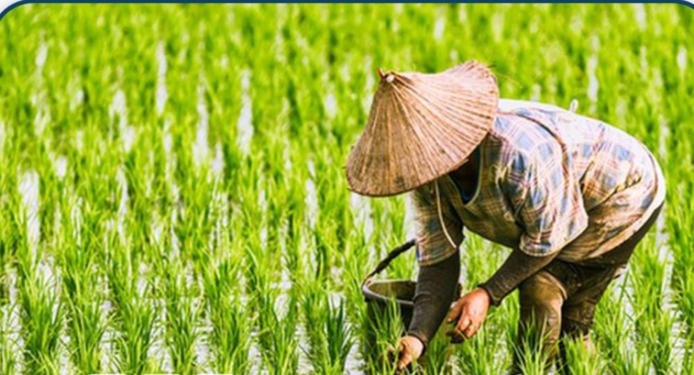 Reforma Agraria Wujudkan Keadilan Pertanahan Dan Ketahanan Pangan