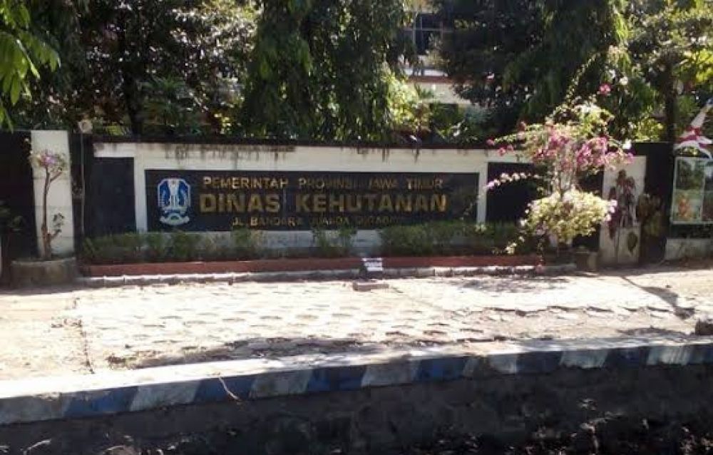 Kisah Asisten Kadis Kehutanan Jatim Yang Tidak Berani Menyampaikan Surat Masyarakat Ke Pimpinan, Sungguh Ironis Sekali
