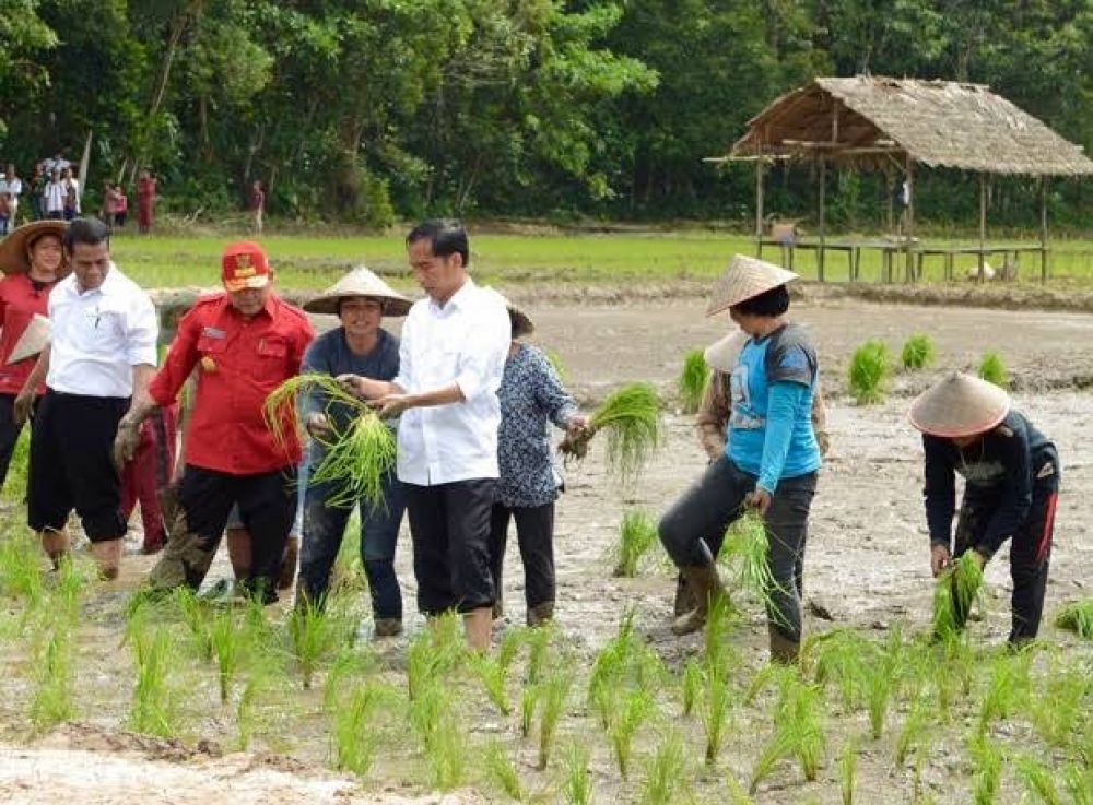 Swasembada Pangan Di Fokuskan, Jokowi Bangun Puluhan Bendungan Dan Jutaan Saluran Irigasi