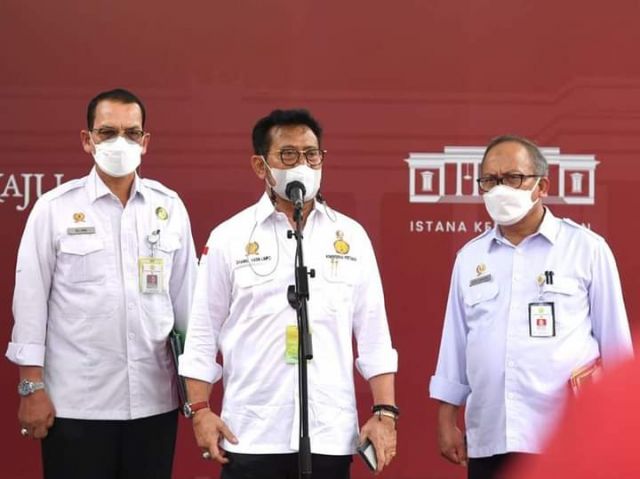 Jokowi Deadline Satu Bulan Tingkatkan Sektor Pertanian Di Papua Barat
