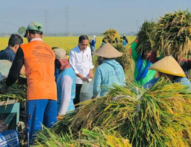 Soroti Kenaikan Harga Beras, Jokowi Beri Intruksi Siapkan Bansos Pangan