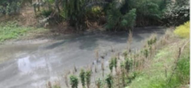 Gara-Gara Kolam Limbah Pabrik BW Bocor, DLHD Tulang Bawang Lansung Sidak, Dan Hasilnya?