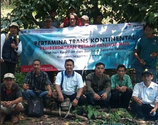 Dukung Pertanian, Pertamina Trans Kontinental Berikan Penyuluhan Serta Bantuan CSR Kepada Kelompok Tani Perkebunan Tanggamus
