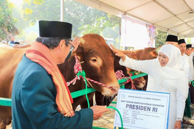Momentum Idul Adha 1444H, Khofifah : Jadi Pengingat Manusia Dalam Meningkatkan Kesalehan Sosial