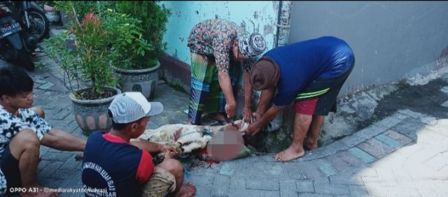 Momen Idul Adha Di Dalam Jum'at Berkah, Berbagi Daging Hewan Kurban