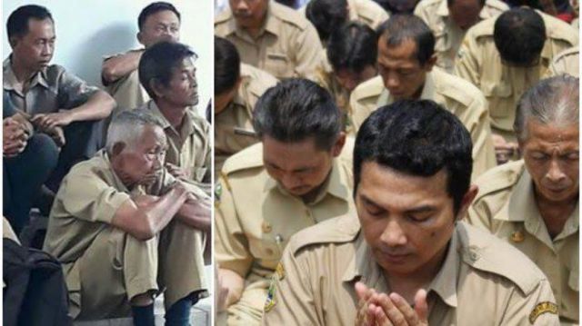 Bakal Dihapus Tahun Depan, Ini Syarat dan Batas Usia Honorer Jadi PNS 2023